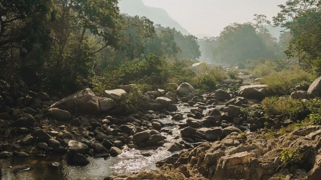 Still from Searching for Capomo — Yelapa