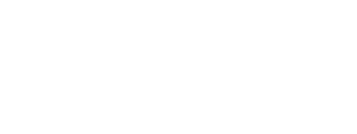 Dr. Leslie Korn